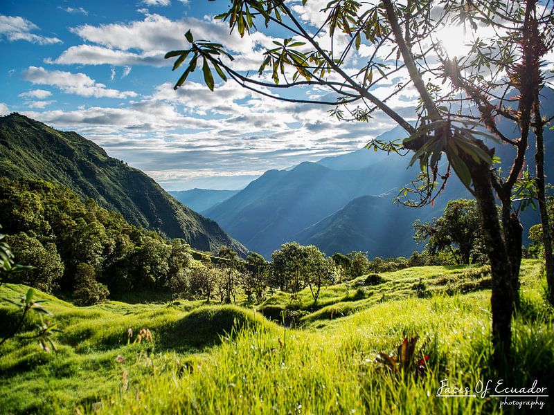 Cajas by Kevin Van Haesendonck