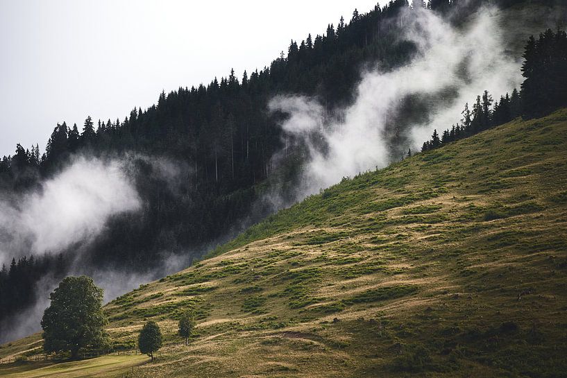 Alpiner Nebel 1 von Bart Rondeel