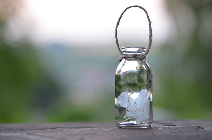 Frühling im Glas von Zwergls Lichtermeer
