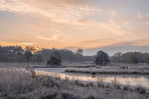 Hatertse en Overasseltse vennen part 22