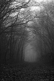 Into the light by Bas de Man