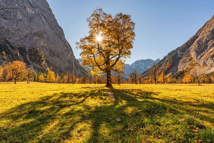 Big Maple Mountain by Einhorn Fotografie