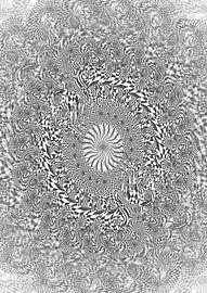 Rotierende Tintenfische von Wouter Springer