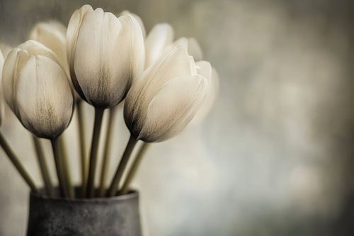 Tulpen von Bert Nijholt