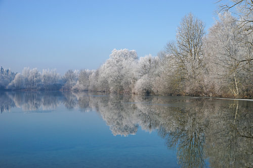 Birkensee mit sich spiegelnden Bäumen und Rauhreif