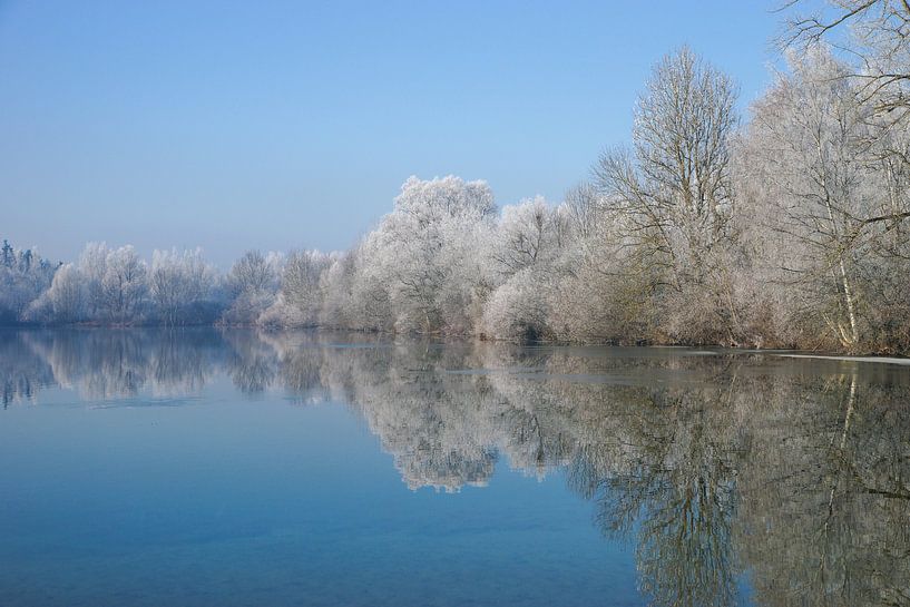 Birkensee with reflecting trees and hoarfrost by Hans-Heinrich Runge