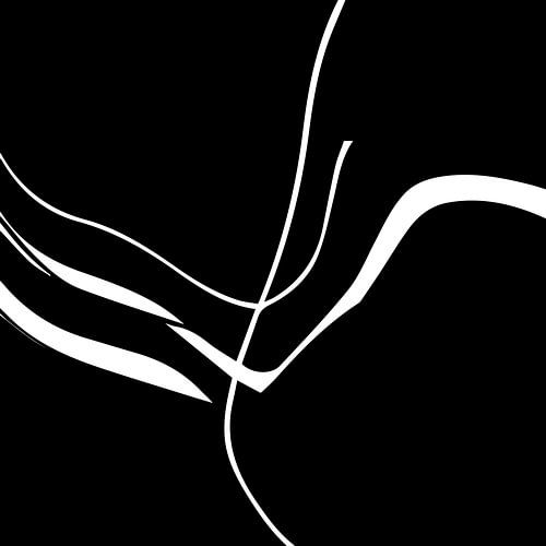 Organisch 8a | Zwart & Wit Minimalistisch Abstract