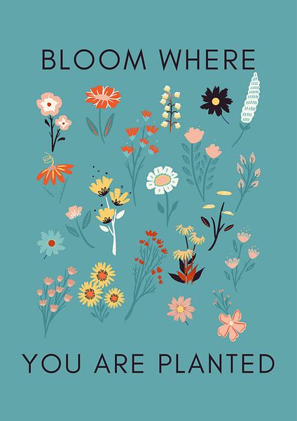 Bloom by Studio Allee
