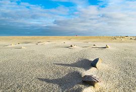 Leeg Strand Texel von Dick Hooijschuur