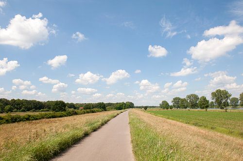 Noord Brabant landschap