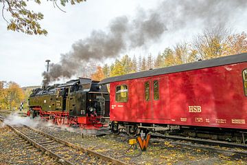 De Brocken spoorweg van t.ART