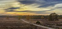 Edese heide met ondergaande zon in de herfst