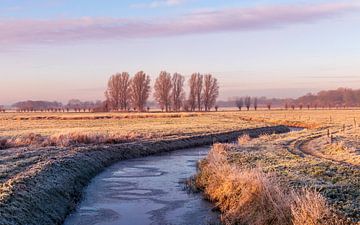 Winterlandschap in Drenthe van Marga Vroom
