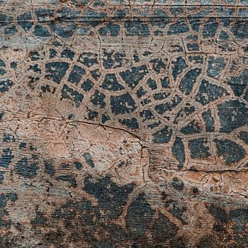 Tierdruck Oberflächen Abstraktes Kunstwerk