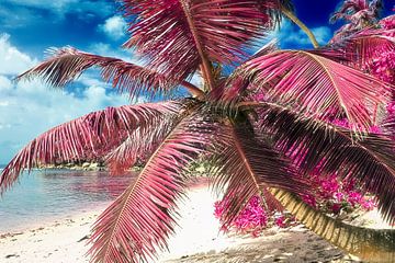 Infraroodbeeld in roze van palmbomen op een tropisch strand van MPfoto71