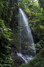 An enchanting waterfall in the dense laurel forest of Los Tilos by Natalia Gebauer Studio