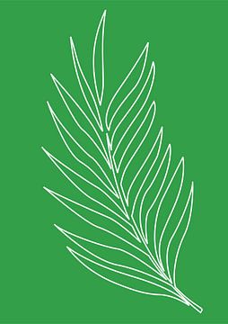 Minimalist Nature & Abstract Illustration Collection