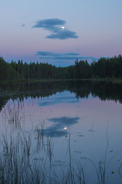 Swedish lake by Douwe Schut
