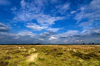 Heath under cloudy sky in the evening