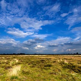 Heide unter half bewölktem Himmel von Fred van Bergeijk