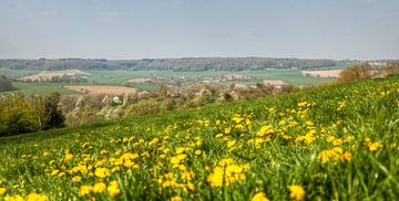 Bloesem in het Geuldal in Zuid-Limburg von John Kreukniet