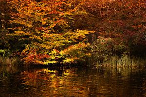 Herbst