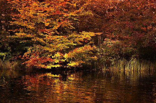Herbst