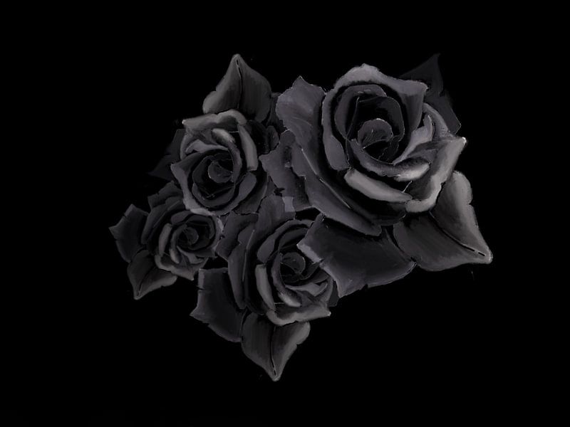 Grey roses by Blckwork ..