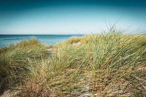 Summer at the Baltic Sea beach