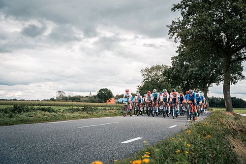Peloton Dames EK Wielrennen 2023 | Drenthe, Nederland