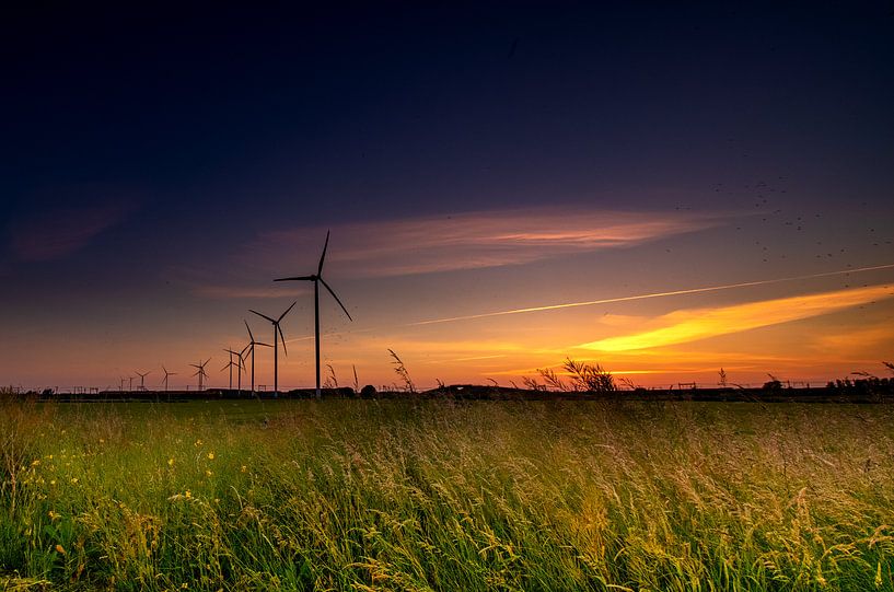 Windmühlen mit Sonnenuntergang in einer niederländischen Weitwinkel-Landschaft von Jan Hermsen