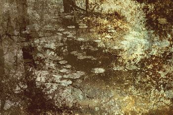 Spiegelungen in einem Waldsee