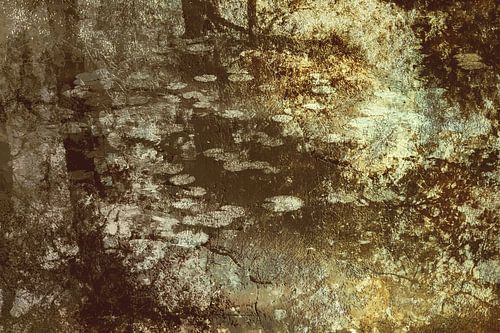 Reflections in a forest lake