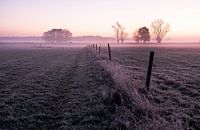Dutch landscape in morning mist by Affect Fotografie thumbnail