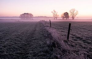 Niederländische Landschaft im Morgennebel von Affect Fotografie