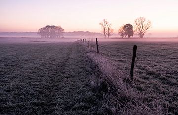 Nederlands landschap in ochtendnevel van Affect Fotografie