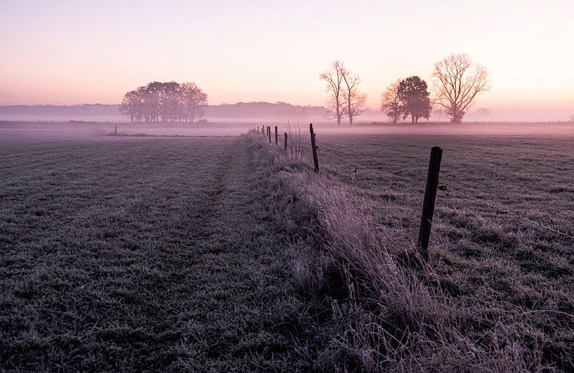 Niederländische Landschaft im Morgennebel von Affect Fotografie