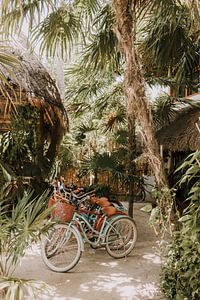 Gekleurde fietsen | Isla Holbox van Roanna Fotografie