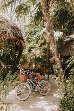Bunte Fahrräder | Isla Holbox von Roanna Fotografie