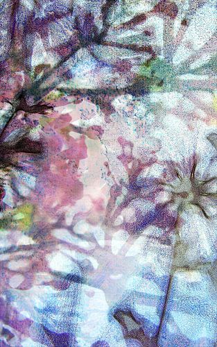 Bloeiende seringenstruik