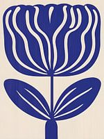Blue Tulip