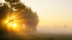 Mist in morgen van Dirk van Egmond