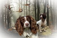 The hunting dog in action