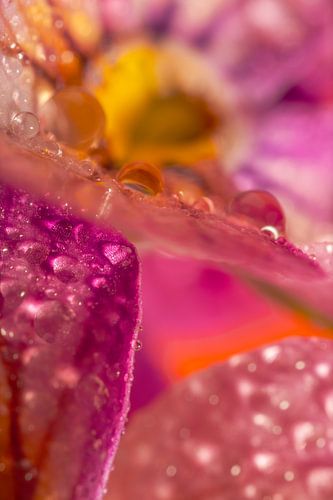 Abstract zomers gevoel: Druppels rusten op blaadjes van Marjolijn van den Berg