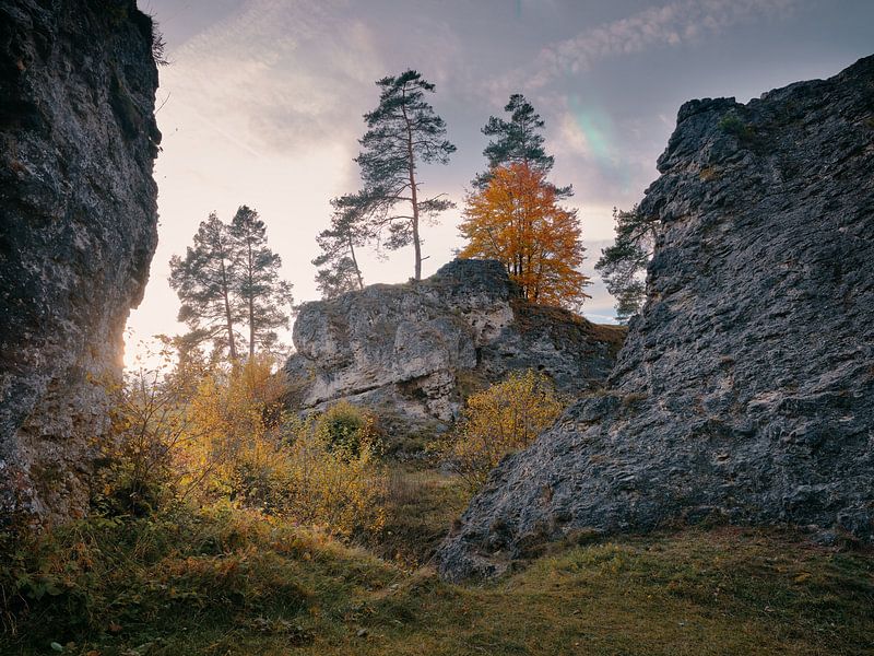 Soirée d'automne dans le Wental par Max Schiefele