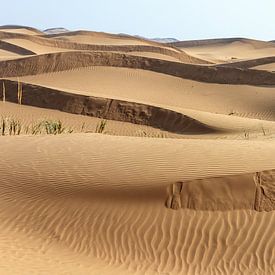 Badain Jaran woestijn (China) von Paul Roholl