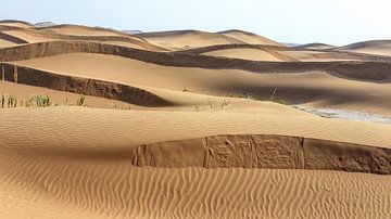 Badain Jaran woestijn (China) sur Paul Roholl