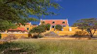 Curacao -Savonet plantage museum - Sint Christoffelpark