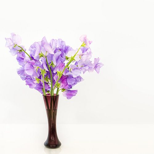Vase avec Lathyrus