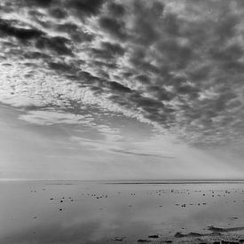 Wadden Sea Terschelling sur Waterpieper Fotografie